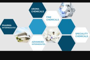 Pharmaceutical Intermediates
